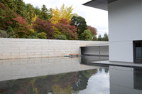 鈴木大拙館600ピクセル