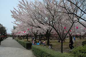 芦城公園1