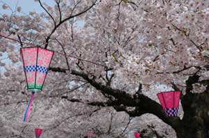 芦城公園2