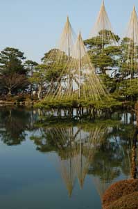 兼六園の雪吊り