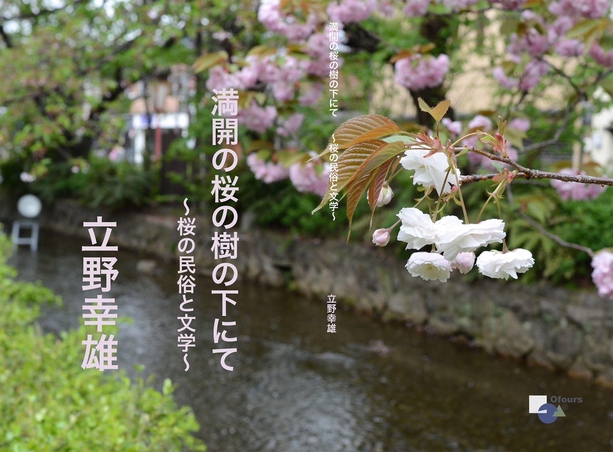 満開の桜の樹の下にて