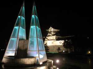 夜の富山城