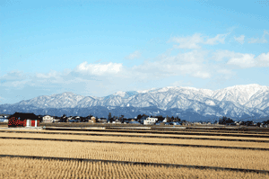 田園と立山連峰