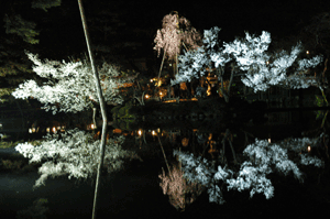 夜の瓢池