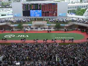 阪神競馬場