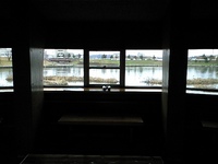 CA391020.jpg