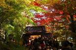 湖東三山と永源寺