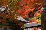湖東三山と永源寺