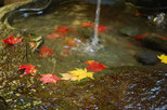 湖東三山と永源寺