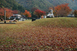吉野工芸の里の紅葉