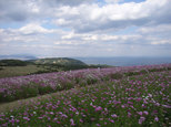 明石海峡